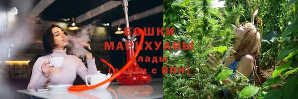 кокс Дмитров